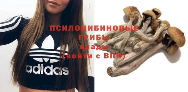 mix Алексин