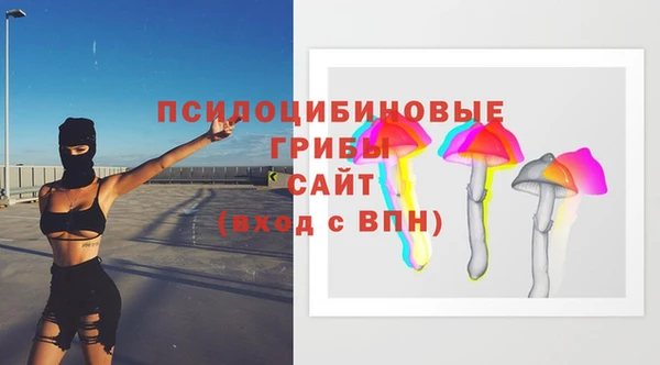 амф Алексеевка
