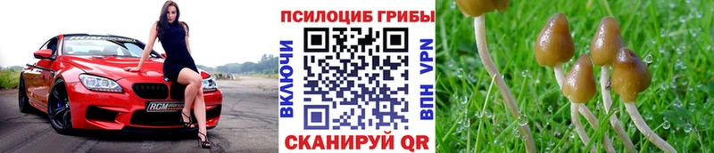 гидра ONION  Шелехов  Псилоцибиновые грибы GOLDEN TEACHER 